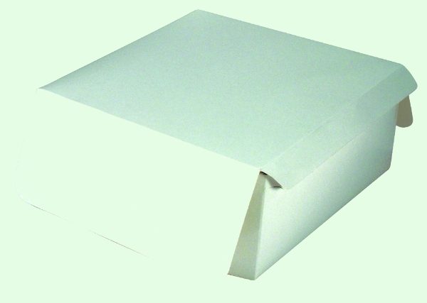 Plain Folding Box
