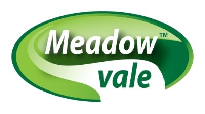 Meadowvale Logo
