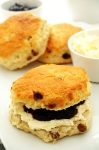 Fletchers Individually Wrapped Giant Sultana Scone